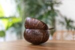 miseczka kokosowa z lupiny kokosa z bali
