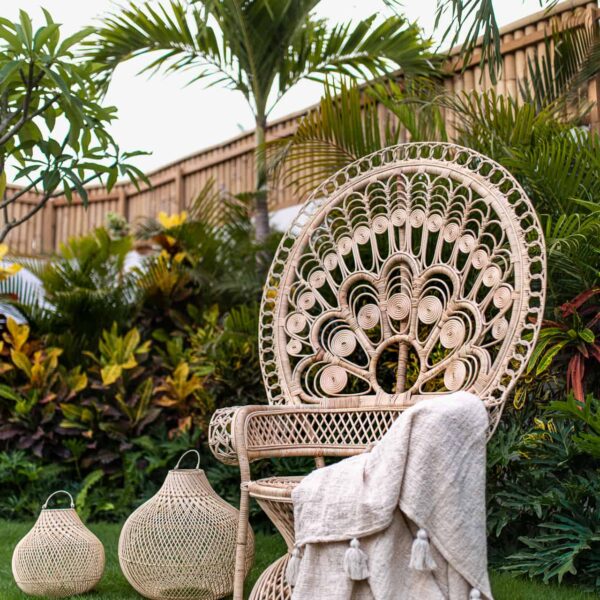 rattan sessel pfau paw 6