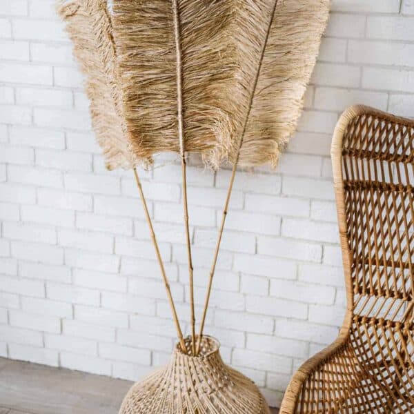 trawa dekoracyjna wysoka pampasowa