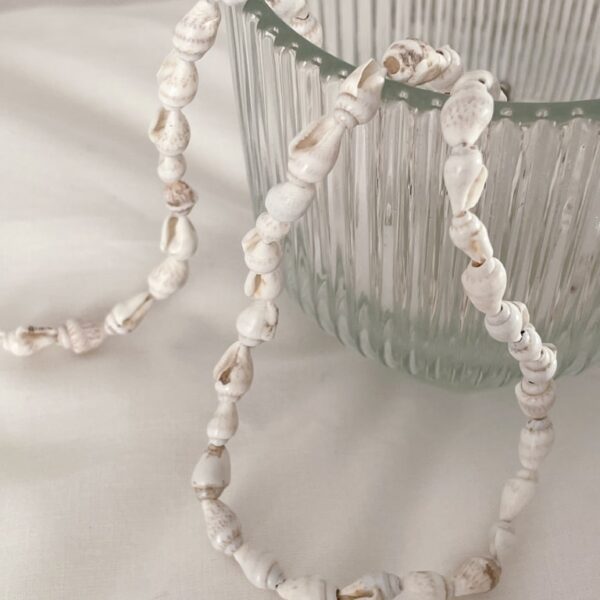 lange muschel halskette