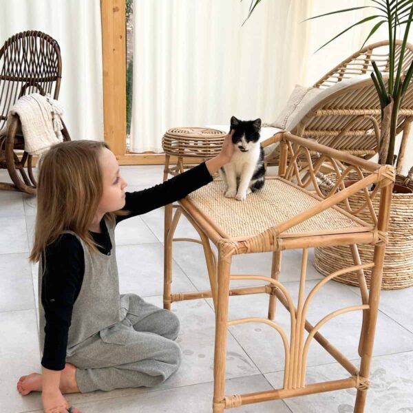 kinder schreibtisch aus rattan rattan regal