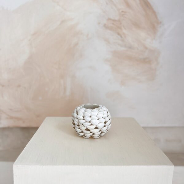 swiecznik dekoracyjny z muszli.jpg